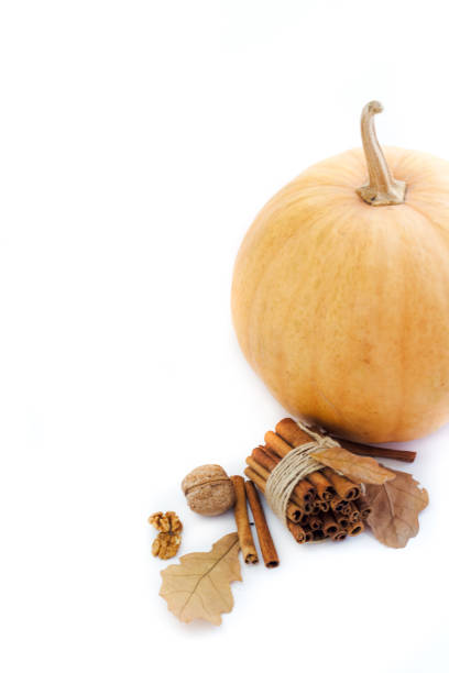 istock Autumn pumpkin with cinnamon and autumn leaves on white background with copy space, selective focus . 872335584