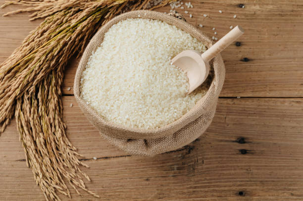 istock Raw rice grain and dry rice plant on wooden table 872343046