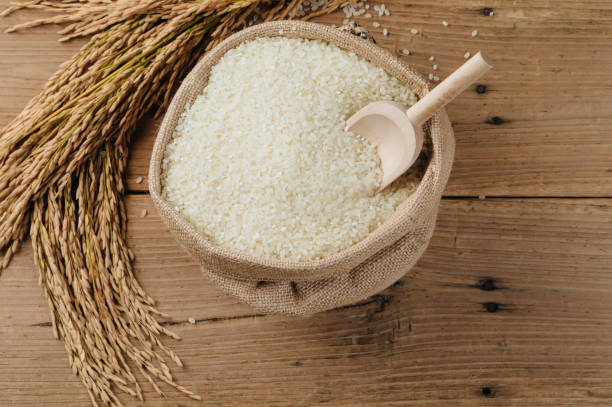 Raw rice grain and dry rice plant on wooden table stock photo