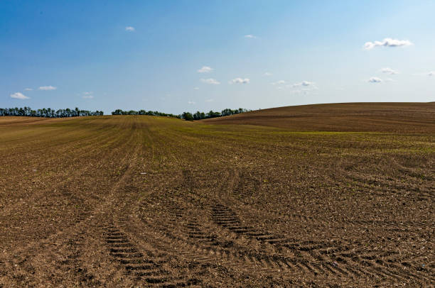 istock Cultivated land with tyre marks 872343380