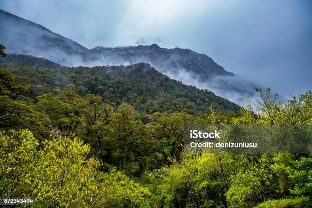 Milford Sound Mountains Stock Photo - Download Image Now - New Zealand, Bush, Forest