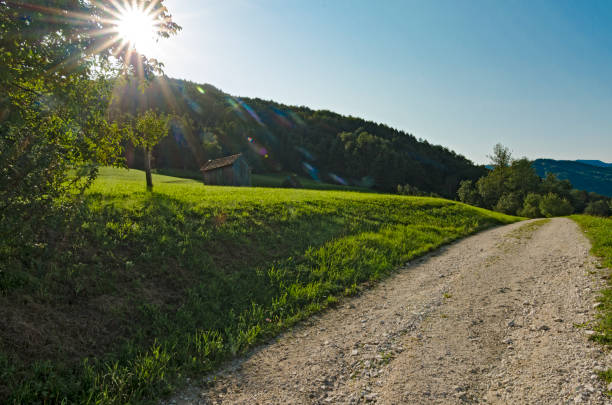 istock Alpine landscape - a country road 872344770