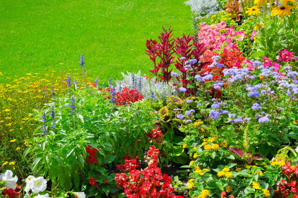 istock summer flower bed and green lawn 872345788