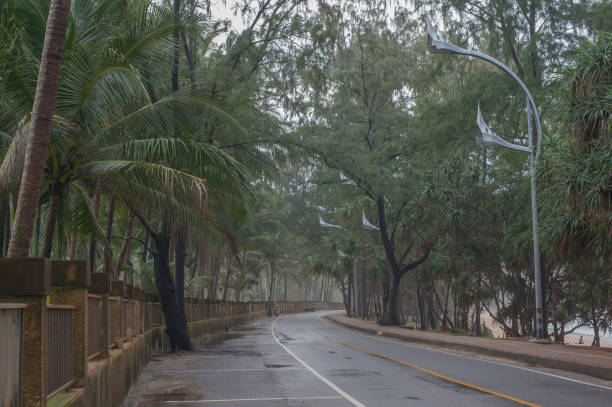 istock Road on a misty morning on a tropical island. 872346770