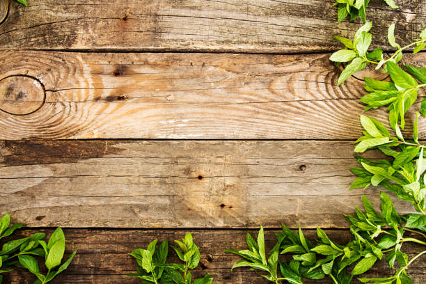 istock Frame from mint over on old wooden background. Rustic style. Copy space 872356438