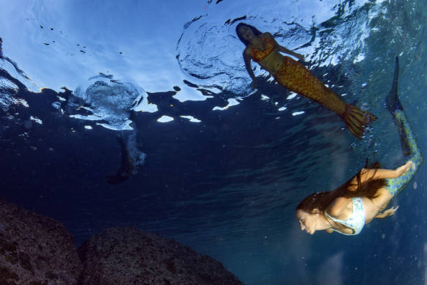 istock Mermaid swimming underwater in the deep blue sea 872357252