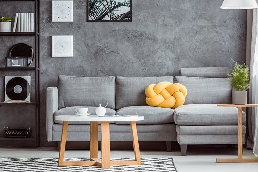 Close-up photo, contemporary design of cozy gray living room interior with simple sofa, coffee table, rack, plant and yellow accent