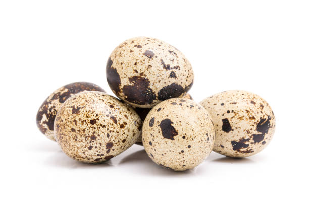 istock Group of quail egg close up isolated on a white background 872368322