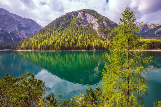 istock Green expanse of water reflects forest 872368838