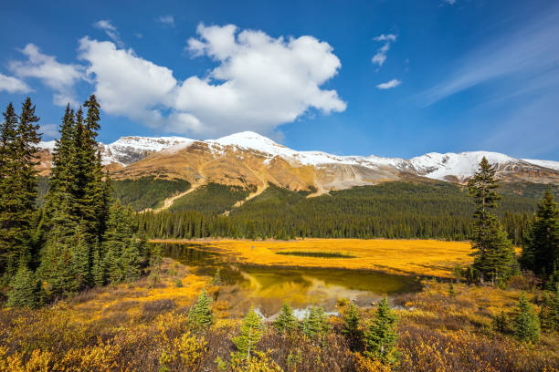 istock The valley in Rocky Mountains 872368928
