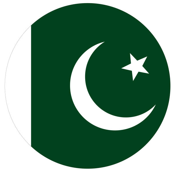 ilustrações de stock, clip art, desenhos animados e ícones de pakistani flag - bandeira do paquistão