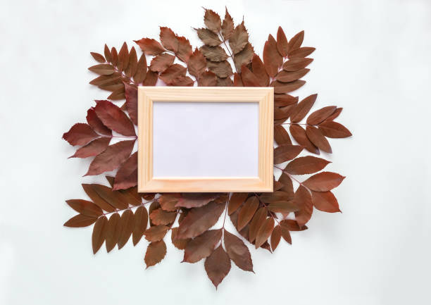 istock Frame for photos in autumn leaves isolated on white background. Top view, flat lay. Copyspace. Mockup. 872393466