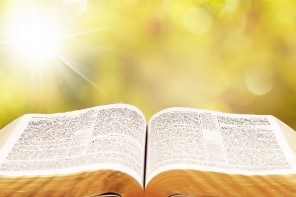 Bible. Open Holy bible book, close-up view bible open stock pictures, royalty-free photos & images