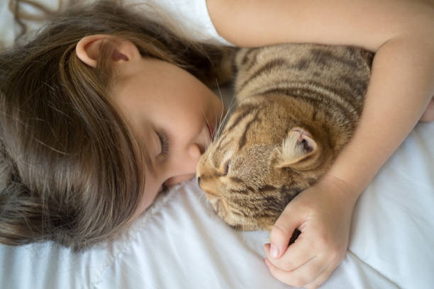 istock Little girl with cat 872418722