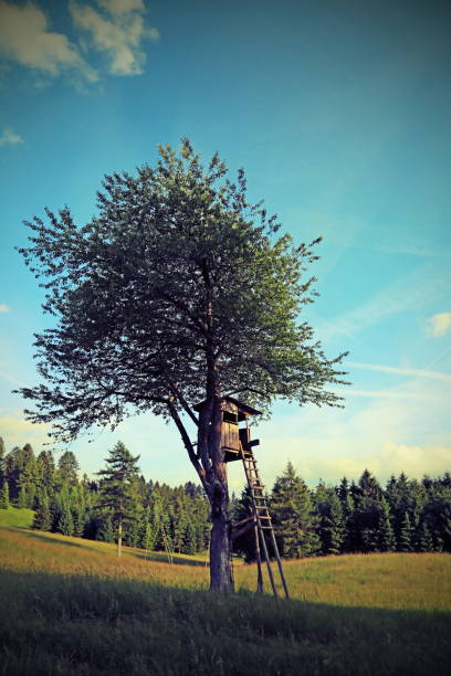 Wooden deer stand. Elevated platform of the hunter it is a better view point with vintage effect