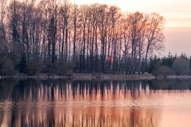 istock Sunset through the trees near the lake 872426142