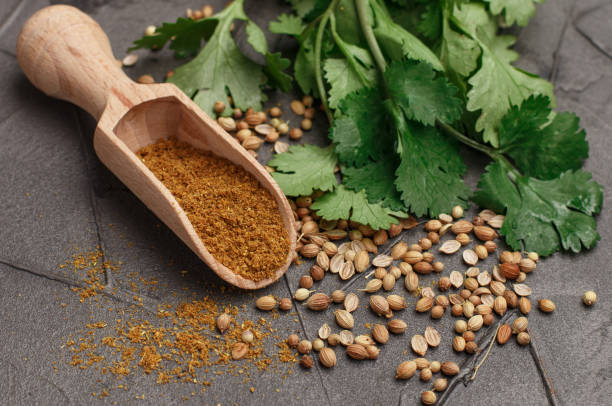 istock Bunch fresh cilantro , whole and ground coriander on the table. Spices and condiments. Selective focus 872427930