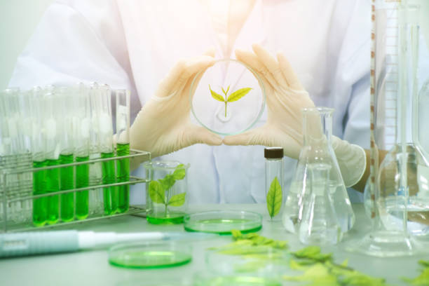 istock Research herbal medicine at lab , test pharmaceutical 872437704