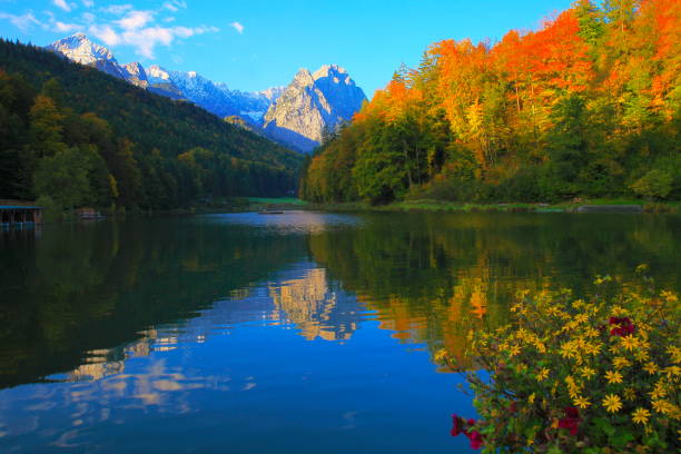 Riessersee alpine turquoise lake with reflection at gold colored sunrise, with Zugspitze, Waxenstein and Alpspitze view– dramatic landscape in Bavarian alps, Germany - Majestic alpine landscape in autumn, Snowcapped mountains – Garmisch, Bavaria, Germany lago alpino de turquesa riessersee, con reflejo al amanecer color oro, con el zugspitze, waxenstein y alpspitze vista espectacular paisaje en los alpes bávaros, alemania - majestuoso paisaje alpino en las montañas nevadas, otoño – garmisch, baviera, alemania