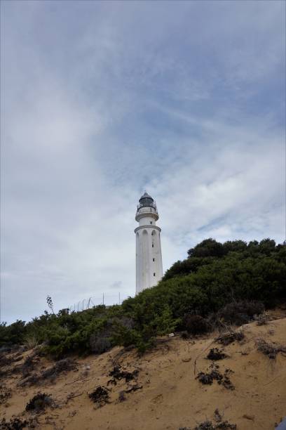 istock Lighthouse on beach with bushes and clouds 872442260