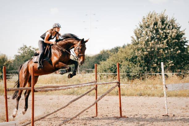 젊은 여성 장애물에 뛰어 드는 말에 기 수 - horse show jumping jumping performance 뉴스 사진 이미지