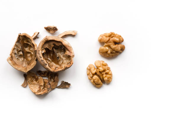 Isolated walnuts stock photo