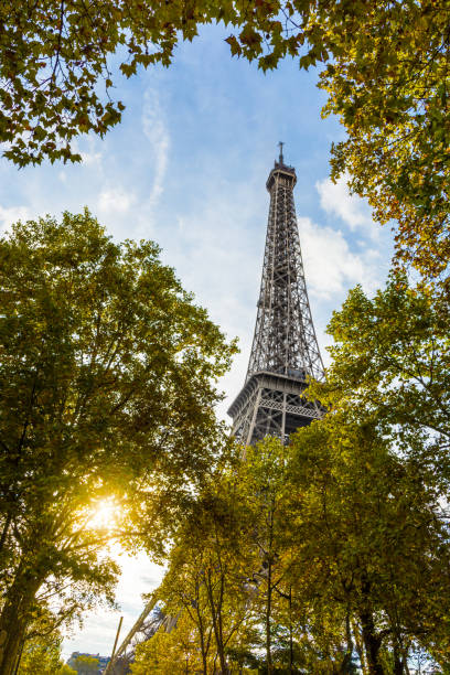 istock View from below of the Eiffel Tower between the trees in the foreground with the setting sun bursting through the foliage 872453784