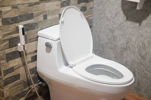 istock Home white flush toilet in modern home 872453984