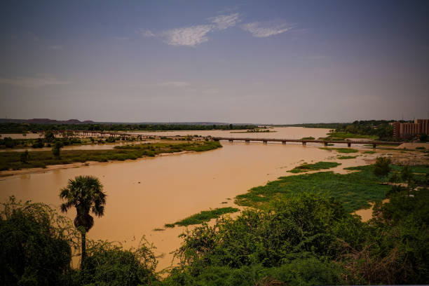 vista aerea sul fiume niger e sulla città di niamey niamey niger - niger delta foto e immagini stock