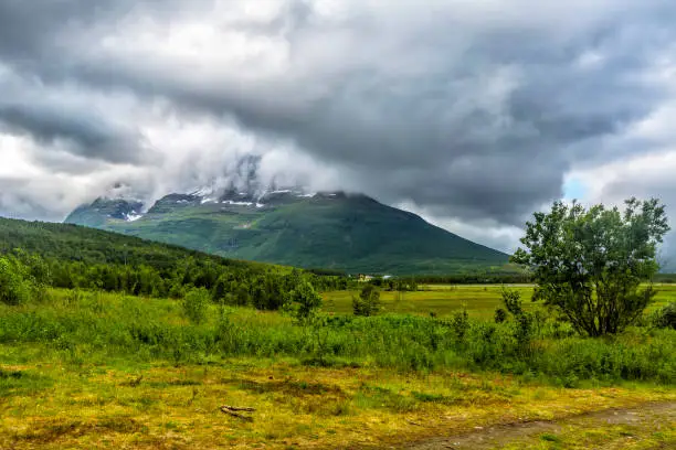 Photo of North Norway nature.