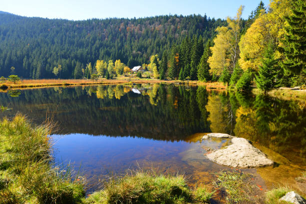 moraine lake kleiner arbersee dans le parc national bavarois forêt, allemagne. - moraine photos et images de collection