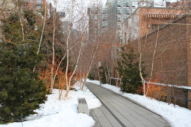 istock Snow on the Highline, NYC 872479744