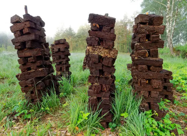 Pricked peat bars for drying