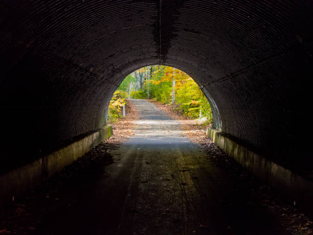 istock Bike Path Tunnel in Autumn 872490664