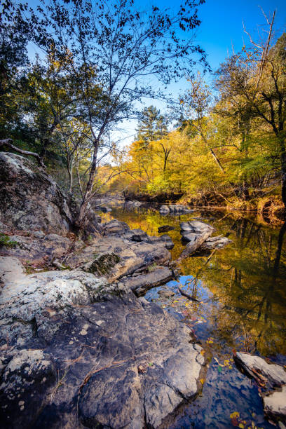 istock Reflections on the waters of Eno River 872494492