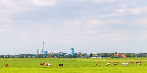 panoramisch uitzicht van de kantoorruimte amsterdam zuidoost (bijlmer) - bijlmer stockfoto's en -beelden