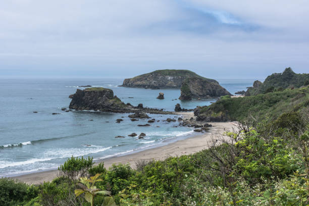 istock The coast along Brookings, Oregon 872495116