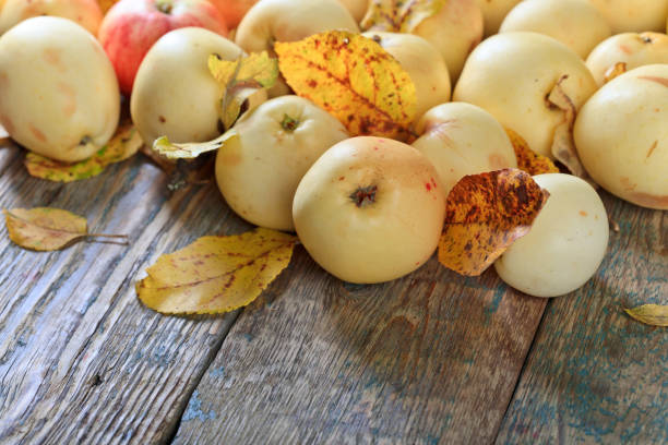 Ripe apples with fallen yellow leaves on old wooden table.
