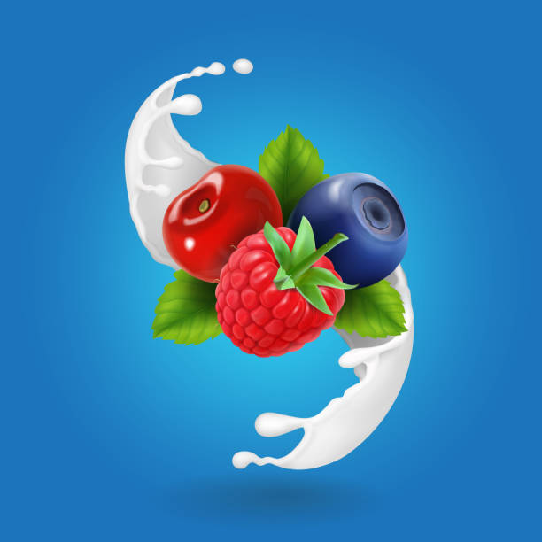 ilustrações de stock, clip art, desenhos animados e ícones de ripe forest berries and milky splash or yogurt. realistic design icon vector - dairy farm liquid food and drink splashing