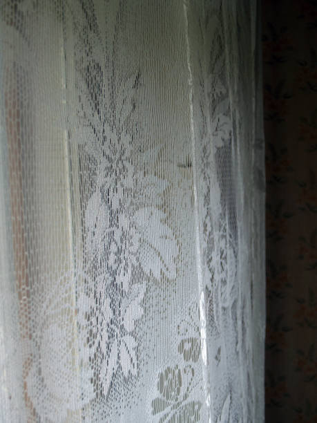 translucent lace curtain stock photo