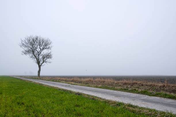 Taken in Altharlingersiel, Esens, Wittmund, East Frisia, Lower Saxony, Germany
