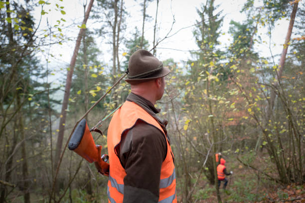 istock Hunter at organised hunt in the forest 872523078
