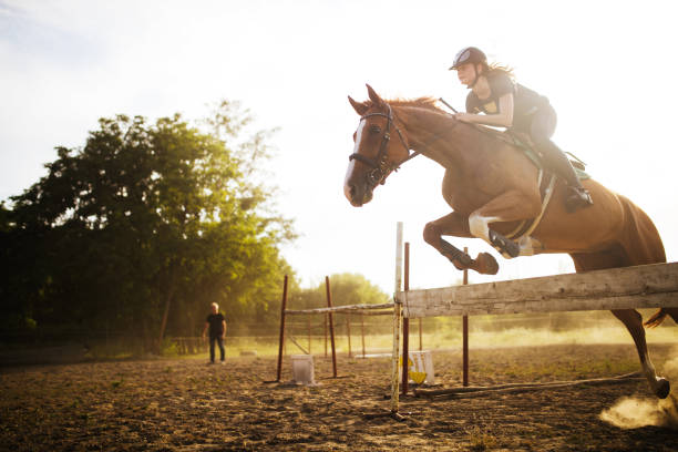 fêmea jovem jóquei no cavalo saltando sobre obstáculos - equestrian event - fotografias e filmes do acervo