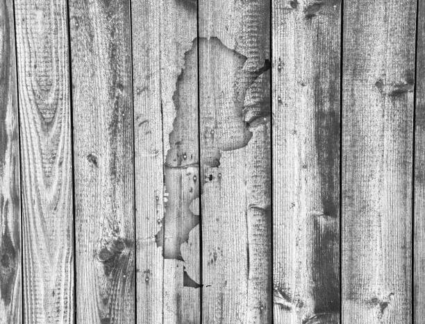 istock Map of Argentina on weathered wood 872527802