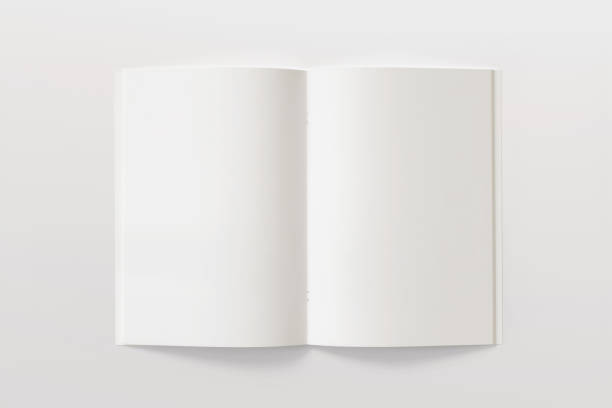 istock Blank opened Magazine or Brochure isolated on white. Pages top view. Mockup template for your showcase. 872530098