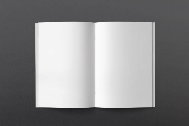 istock Blank opened Magazine or Brochure isolated on white. Pages top view. Mockup template for your showcase. 872530138