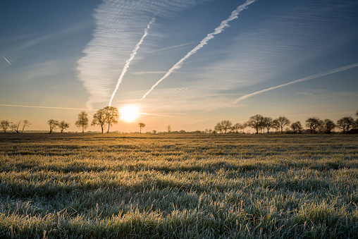 Frozen grass on pasture in fog at sunrise