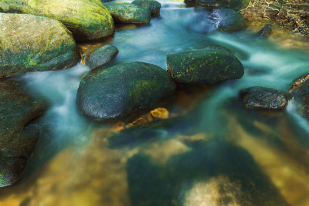 primer plano del agua que fluye a través de guijarros en el arroyo - flowing water stream moss river fotografías e imágenes de stock