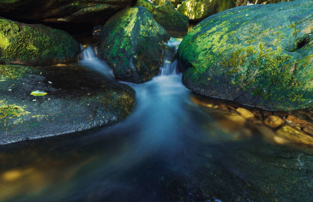 primer plano del agua que fluye a través de guijarros en el arroyo - flowing water stream moss river fotografías e imágenes de stock