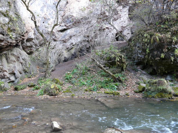 istock The mountain river in the Caucasus 872538772